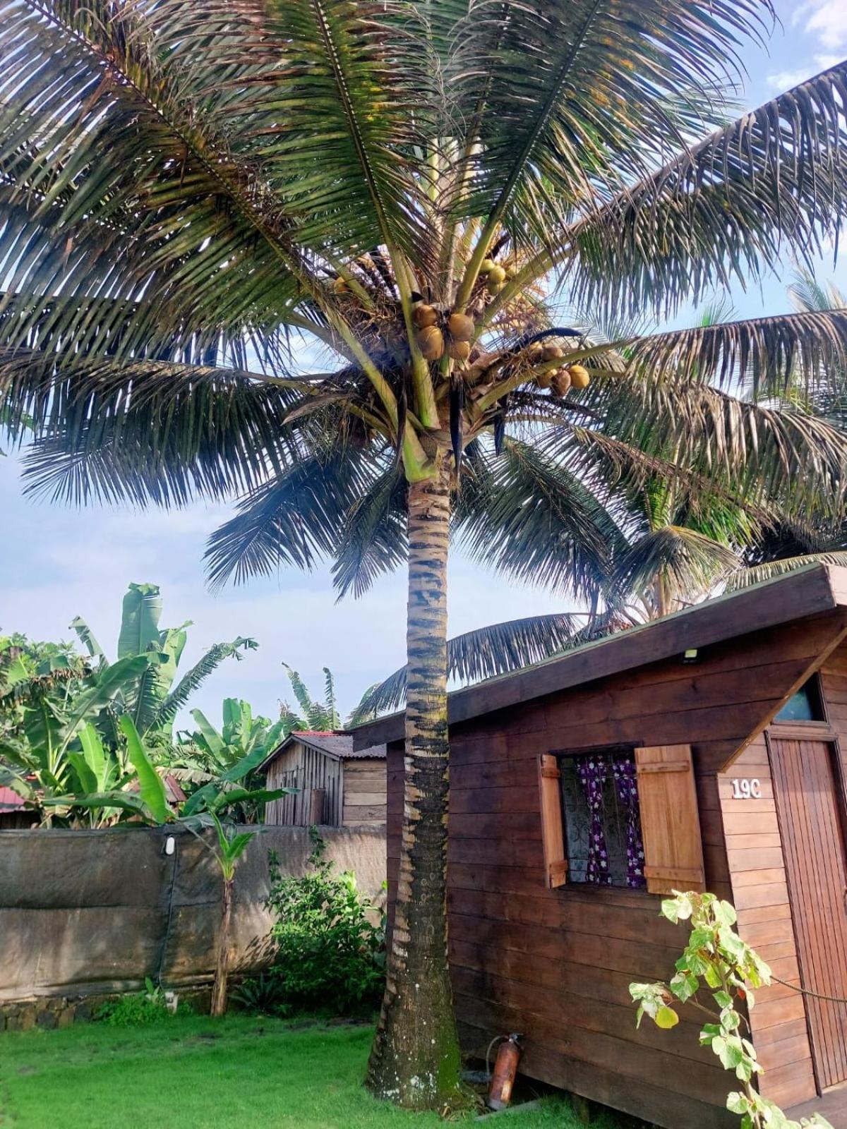 Willa Gente D'Aqui Nge D'Ai Ee Sao Tome Zewnętrze zdjęcie