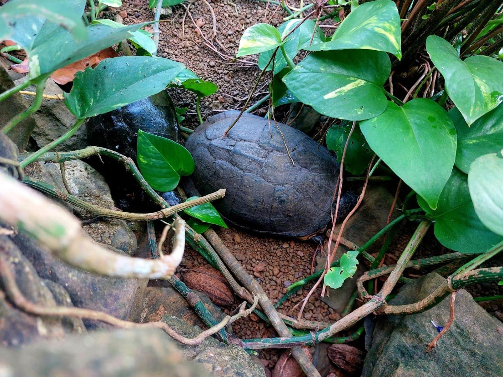 Willa Gente D'Aqui Nge D'Ai Ee Sao Tome Zewnętrze zdjęcie